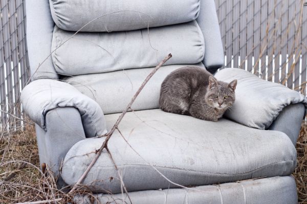 Recliner Disposal in Harrisburg
